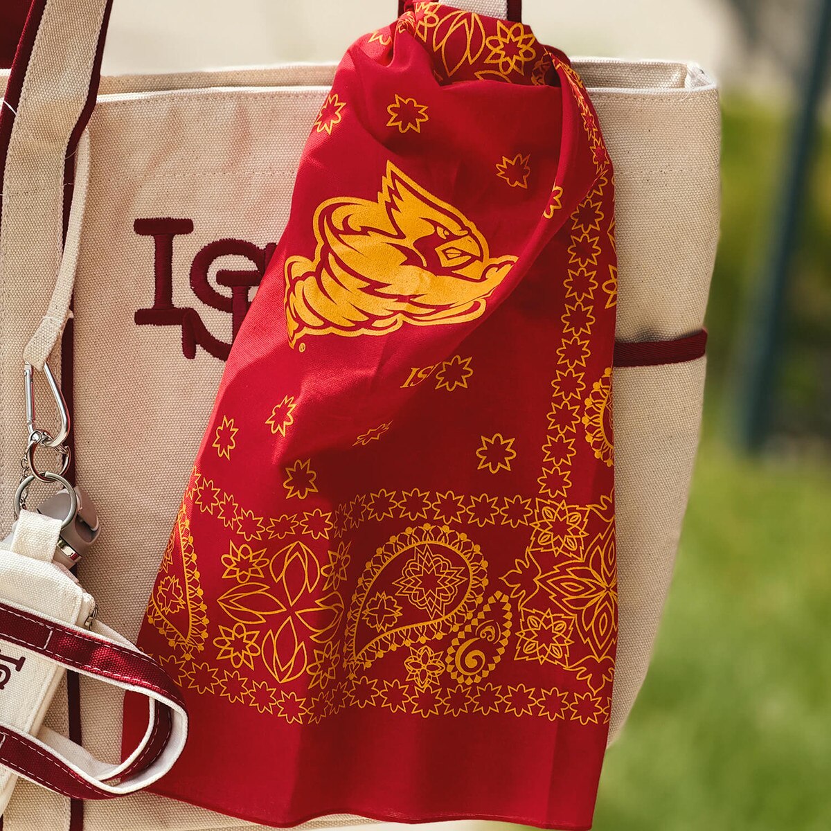 Iowa State Punching Cy Cardinal Bandana 22-inch x 22-inch close up on boat tote
